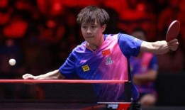 狗仔爆料王楚钦视频,王楚钦私密视频曝光，真相揭秘